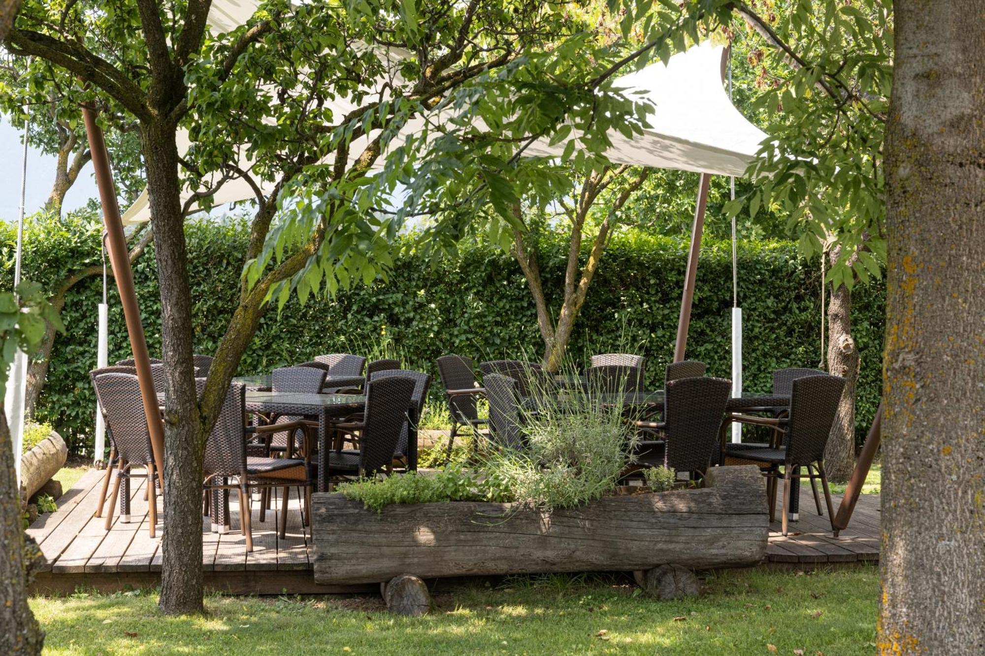 Piccolo Orso Bruno Bed and Breakfast Cavareno Εξωτερικό φωτογραφία