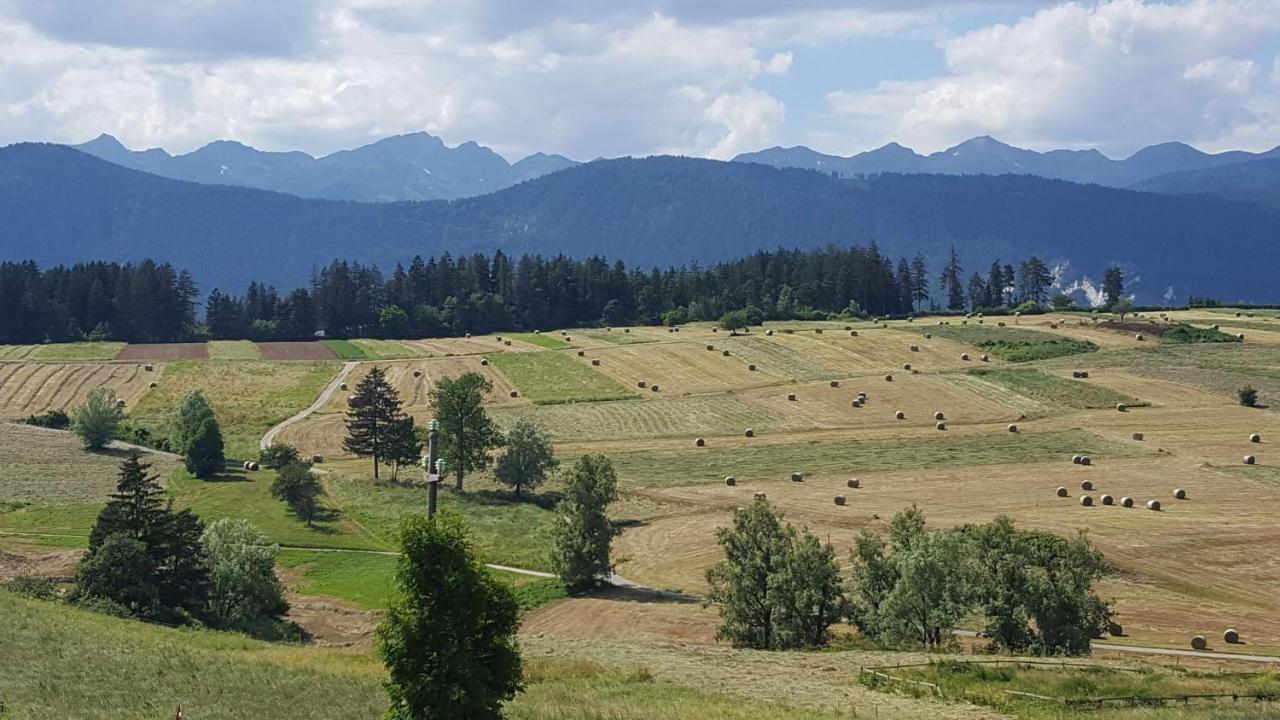 Piccolo Orso Bruno Bed and Breakfast Cavareno Εξωτερικό φωτογραφία